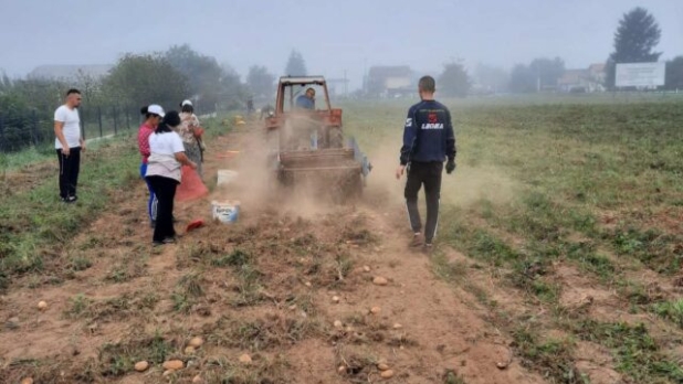 Na području MIZ-e Kiseljak u prethodnim danima podignuti usjevi sa vakufskih parcela