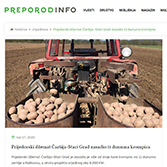 Prijedorski džemat Čaršija-Stari Grad zasadio II dunuma krompira