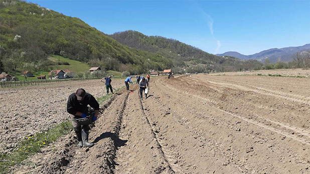 MIZ Bratunac uspješno realizira proljetnu sjetvu