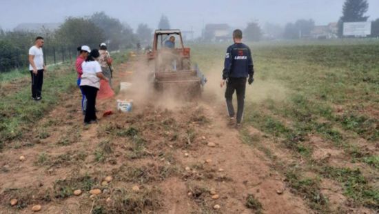 Na području MIZ-e Kiseljak u prethodnim danima podignuti usjevi sa vakufskih parcela