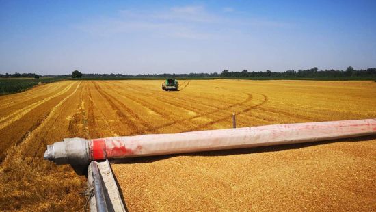 Pozitivna priča iz Janje: Završena žetva pšenice na vakufskim parcelama, prinos 47 tona