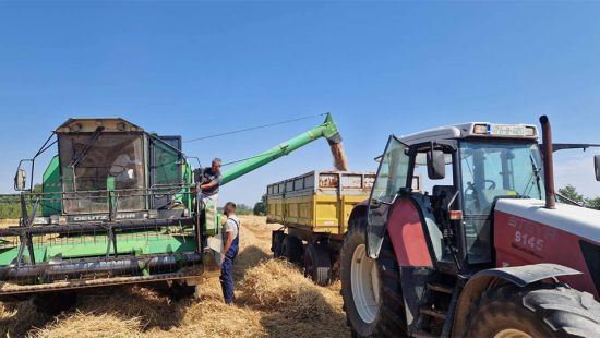 Medžlis Janja zadovoljan prinosom pšenice sa vakufskog zemljišta