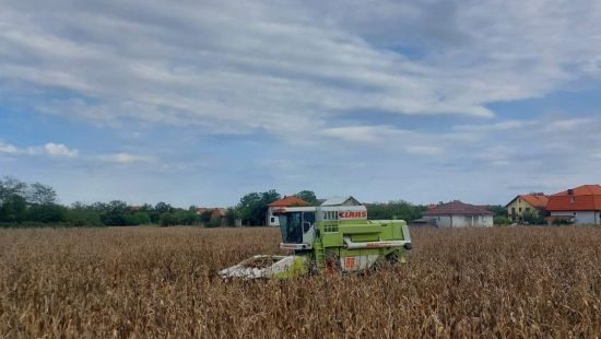 Jesenja žetva na vakufskim parcelama MIZ Bijeljina: Poljoprivreda je težak ali plemenit posao