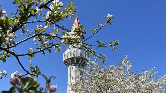 Vrijednost volontiranja i dobročinstva