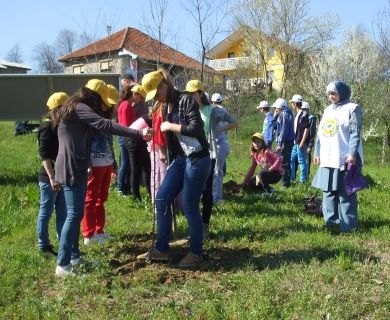 Višegodišnji zasadi šljive na vakufskim parcelama u džematima Avdibašići i Osoje