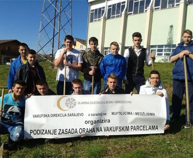 Vakufska direkcija realizovala sadnju oraha u Medresi