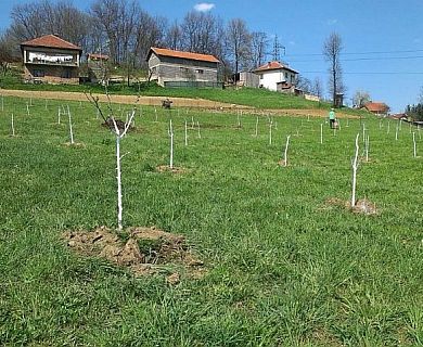 Visoko: Akcija kultiviranja vakufskog zemljišta