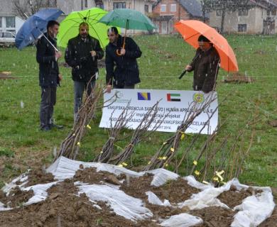 Proljetna realizacija projekta zasada oraha na vakufskim parcelama