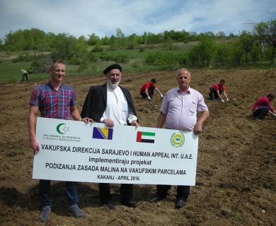 Nastavak kultivisanja vakufskih parcela zasadima malina