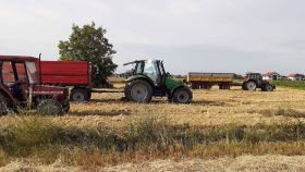Vakufsko poljoprivredno dobro Medžlisa Bijeljina: Žetva ječma i pšenice