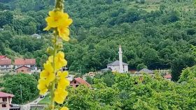 Sud presudio klevetama Zvonimira Trlina da je džamija u Donjem Selu protupravno izgrađena na njegovom zemljištu