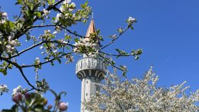 Vrijednost volontiranja i dobročinstva