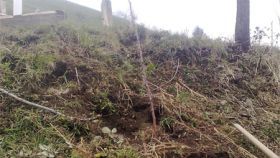 Zenički džemat Kolići: Sadnicama kultivirati vakufsko zemljište